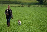 BraccoItaliano_hunt Dal Monte Volpe